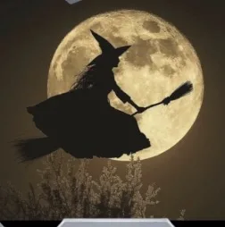LittleWitch avatar